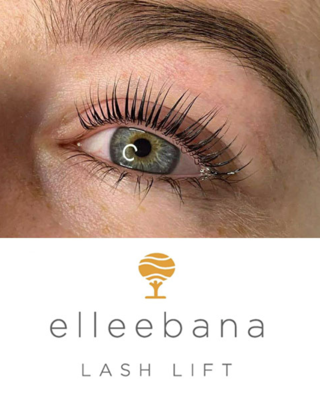 professional lash lift treatment at Volumabeauty studio in Indiana
